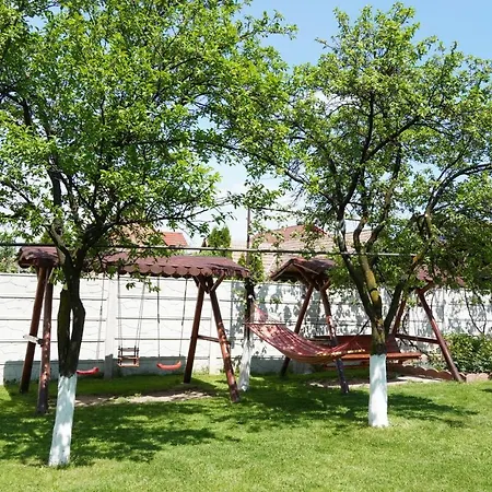Casa Iliut Guest house
