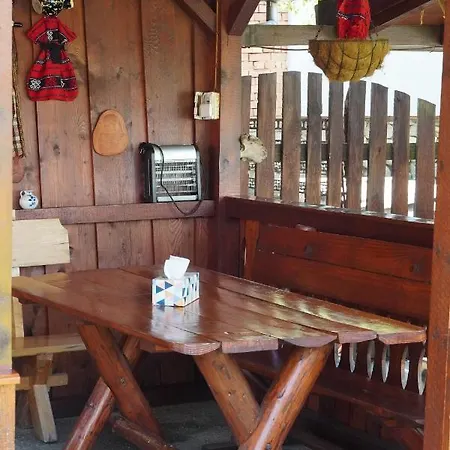 Casa Iliut Guest house *