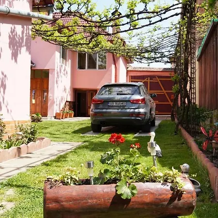 Guest house Casa Iliut Rasinari