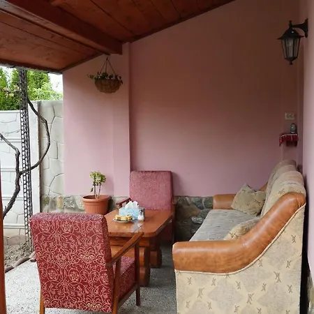 Guest house Casa Iliut *