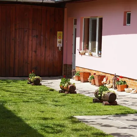 Casa Iliut Guest house