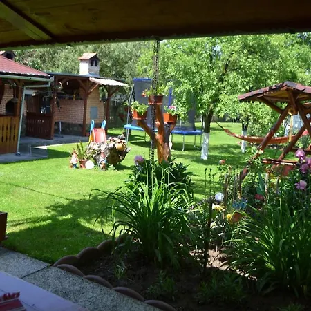 Guest house Casa Iliut