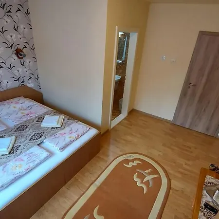 Guest house Casa Iliut Rasinari