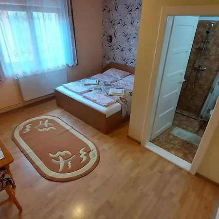 Guest house Casa Iliut