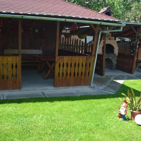 Casa Iliut Rasinari