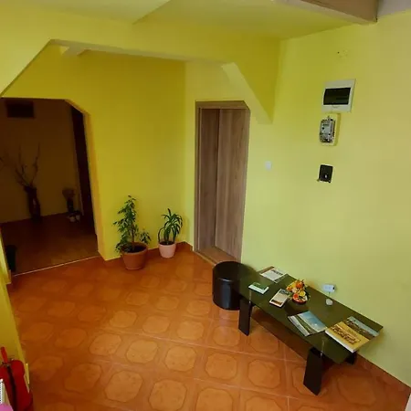 Casa Iliut Guest house